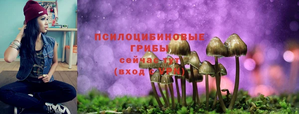 бошки Арсеньев