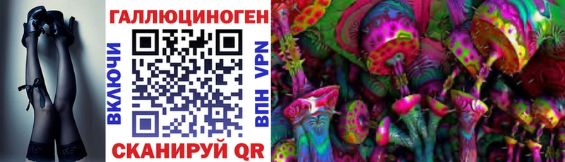 Купить  Горно-Алтайск  Галлюциногенные грибы GOLDEN TEACHER 