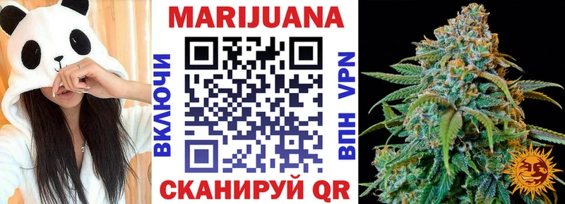 Купить где  Горно-Алтайск  Шишки марихуана SATIVA & INDICA 